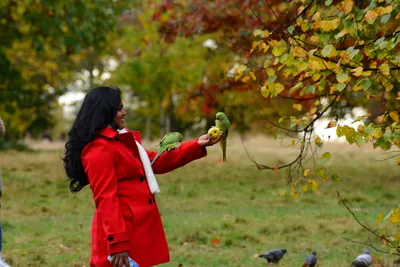 DSC_0485 (Large).JPG